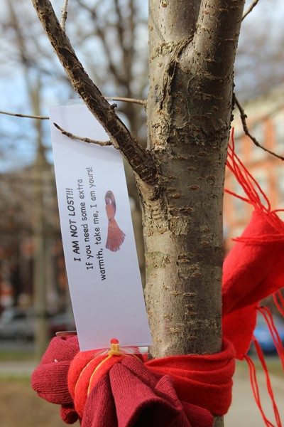 Kindness Initative Project: Scarf on a tree